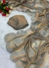 Tew Soft Chiffon Tissue Two Tone Saree